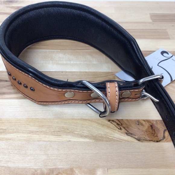 Mad Cow genuine leather western dog collar handmade brown turquoise pink studded - Picture 7 of 16